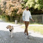 Comment apprendre chien à obéir ?