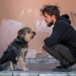 Comment punir un chien qui n obeit pas