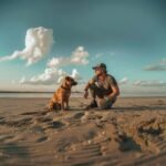 Est il facile de éduquer un chien