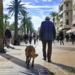 Apprendre la marche en laisse