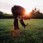 Devenir éducateur canin comportementaliste