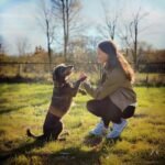 Les bases de l'éducation du chien en éducation canine