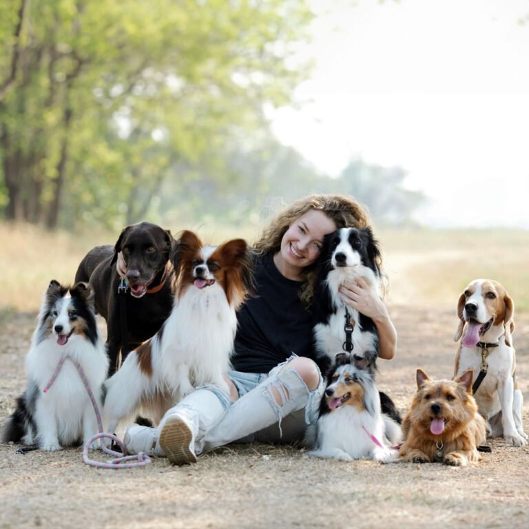 Formation éducateur canin