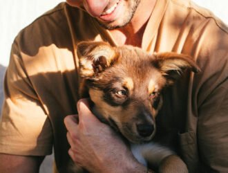 10 conseils d'adoption chien