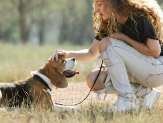 Métier éducateur canin