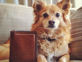 Tarif éducateur canin à domicile