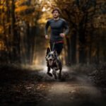 Harnais canicross : comment le choisir